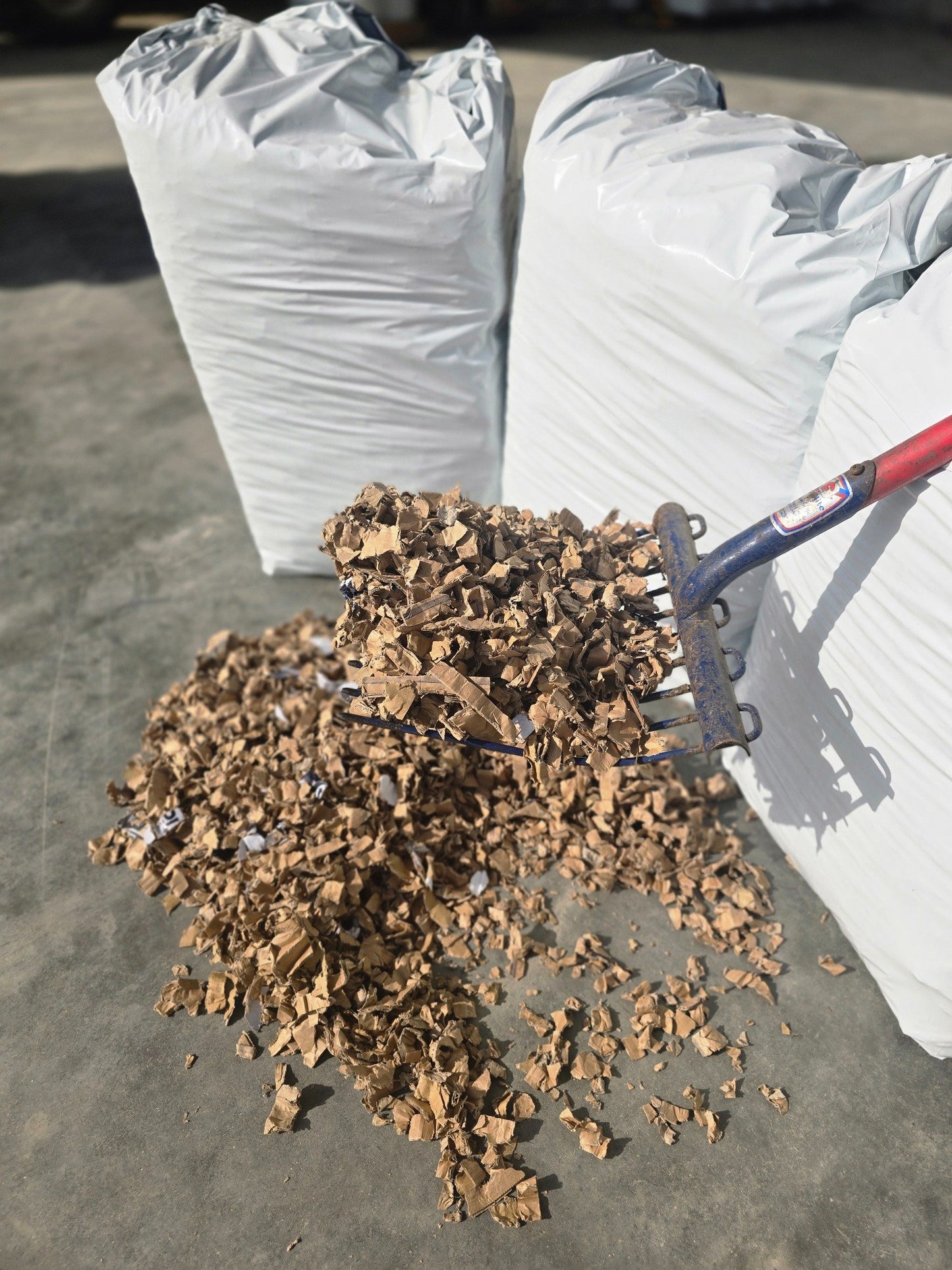 Shredded cardboard bedding shown on a mucking out fork to show texture and cut quality