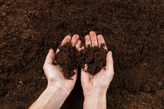 Composting Made Easy – With Cardboard That Breaks Down Naturally