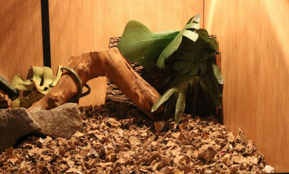 ShredEase CleanAir Bale Low Dust Bedding for Guinea Pigs & Small Pets
