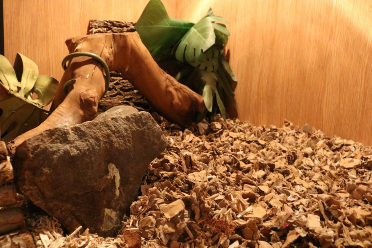 ShredEase CleanAir Bale Low Dust Bedding for Guinea Pigs & Small Pets